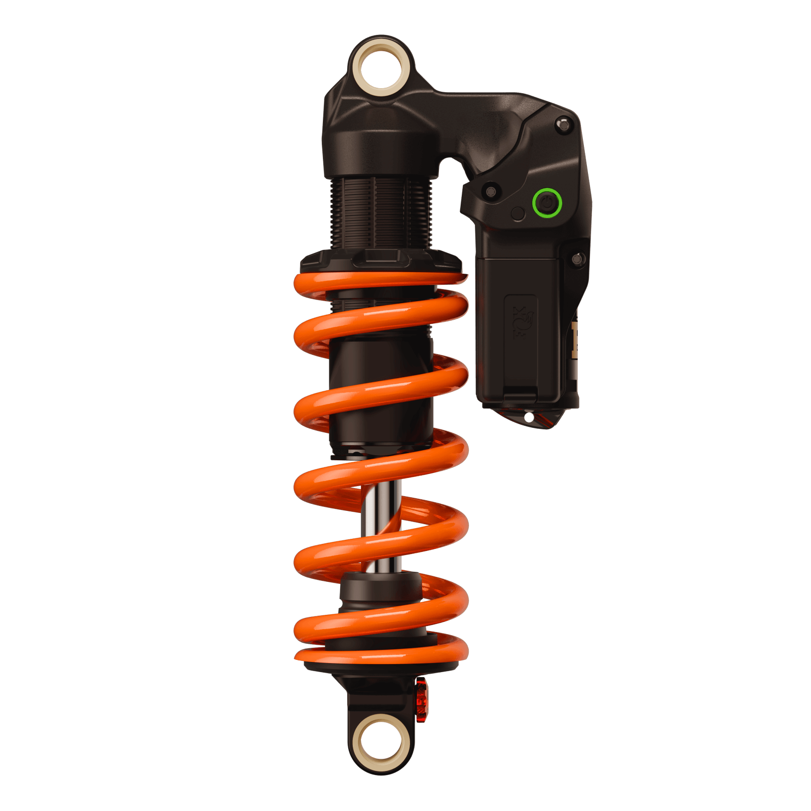 DHXLVNEO_1600x1600_4.png